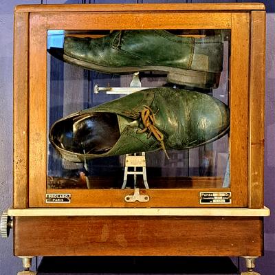 Chaussures Dans Vitrine Bd