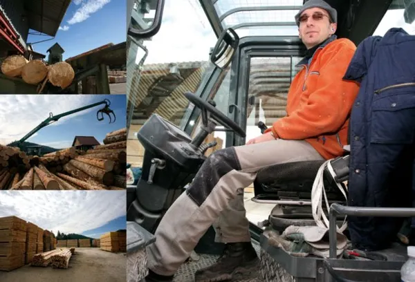 RESPONSABLE DE PARC

Il assure le traitement final des commandes avec le chargement des camions de sciages. Il réalise le traitement des bois et le rangement du chantier.