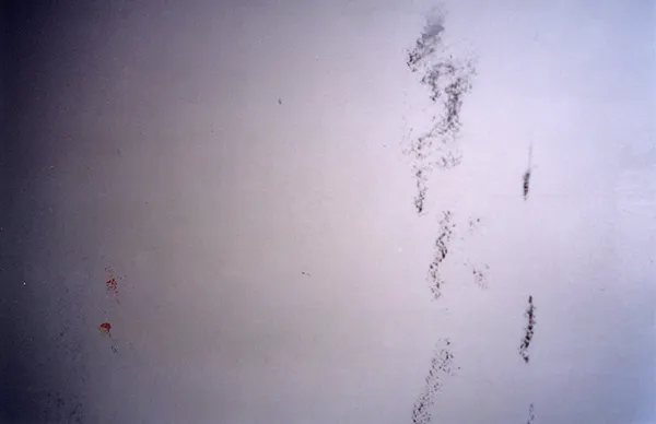 Autodispersée — photographie 89