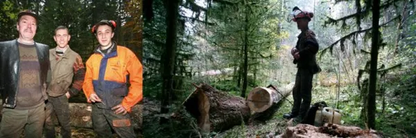 BUCHERONS

Abattage de bois qui seront transformés par la suite en bois d'oeuvre ou bois de chauffage.
