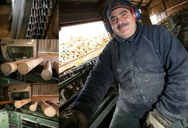 SCIEUR DE SCIE DE TETE

Il réalise les premiers traits de scie dans un morceau de bois. De son application dépend la qualité des produits, le rendement et la productivité de l'entreprise.