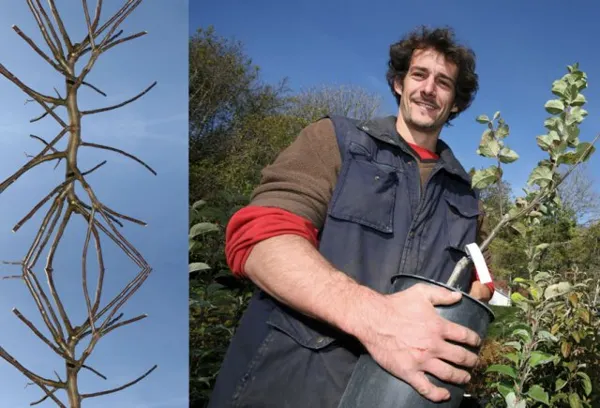 PEPINIERISTE

Le pépiniériste produit des végétaux et des arbres fruitiers qui vont être utilisés par des paysagistes ou particuliers lors d'aménagement de l'espace.

« Nous sommes des éleveurs d'arbres ».

Arnaud Bonnefoy chez Olivier François