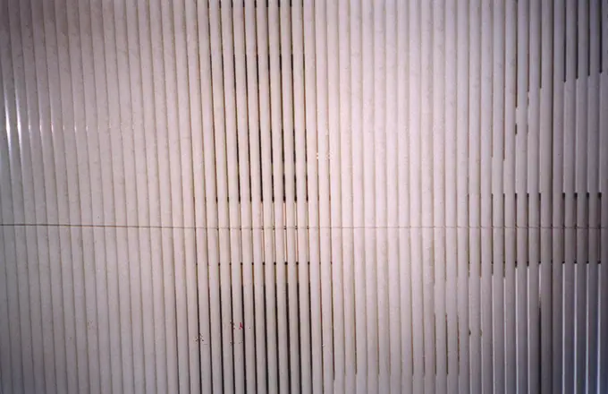 Autodispersée, photographie 3 sur 98