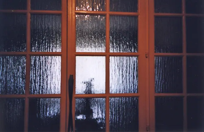 Autodispersée, photographie 93 sur 98