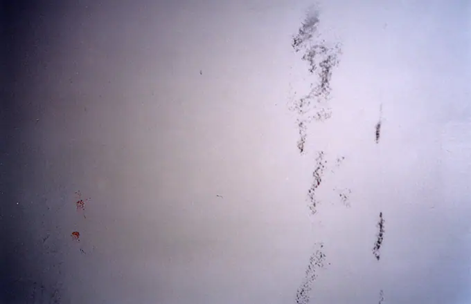 Autodispersée, photographie 89 sur 98