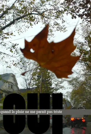 J’aime, j’aime pas, photographie 109 sur 129