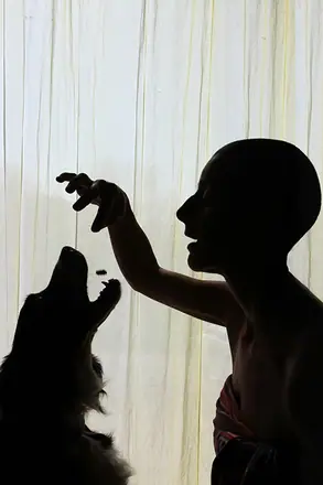 Confinement Dimanche 12 avril 2020 Le chien
