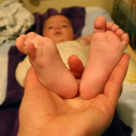 Autoportraits de famille, photographie 83 sur 282