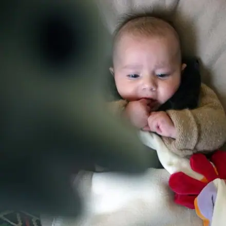 Autoportraits de famille, photographie 66 sur 282