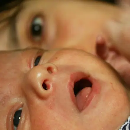 Autoportraits de famille, photographie 274 sur 282