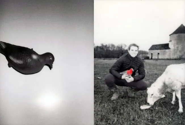 La trilogie du pigeon, photographie 20 sur 21