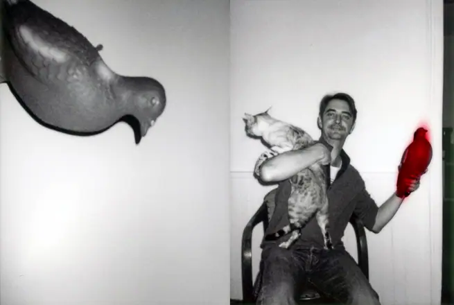 La trilogie du pigeon, photographie 17 sur 21
