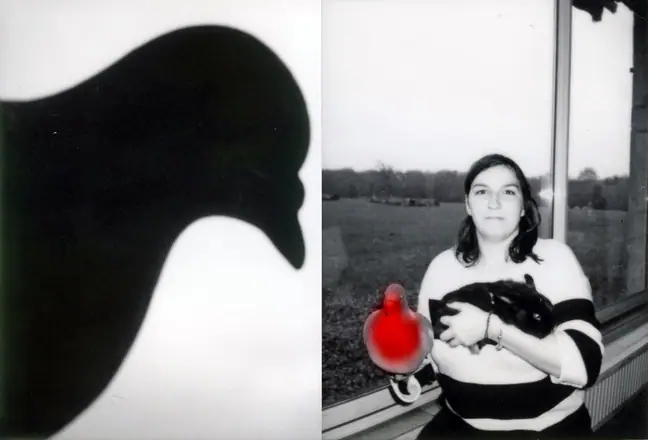 La trilogie du pigeon, photographie 8 sur 21