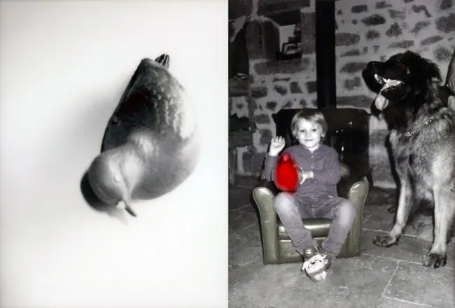 La trilogie du pigeon, photographie 7 sur 21