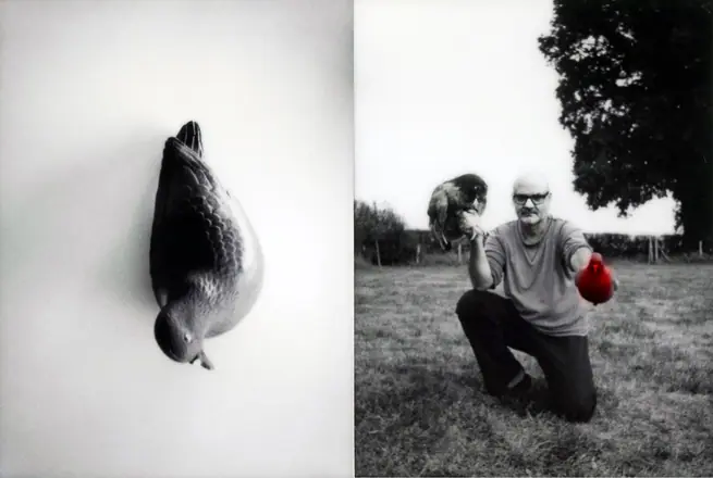 La trilogie du pigeon, photographie 5 sur 21