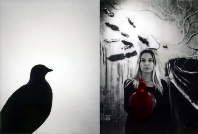 La trilogie du pigeon, photographie 6 sur 21