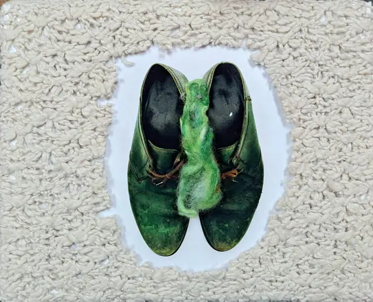 Les chaussures vertes, photographie 17 sur 20