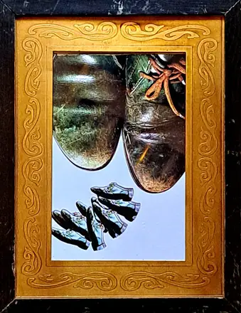 Les chaussures vertes, photographie 6 sur 20