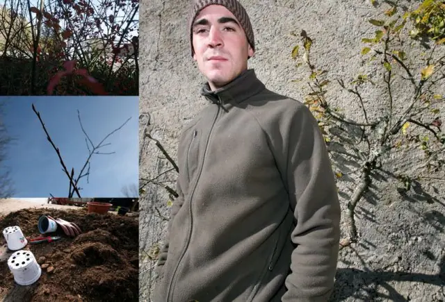 PAYSAGISTE Personne qui élabore des plans de jardins et notamment qui aménage et entretient l'espace.