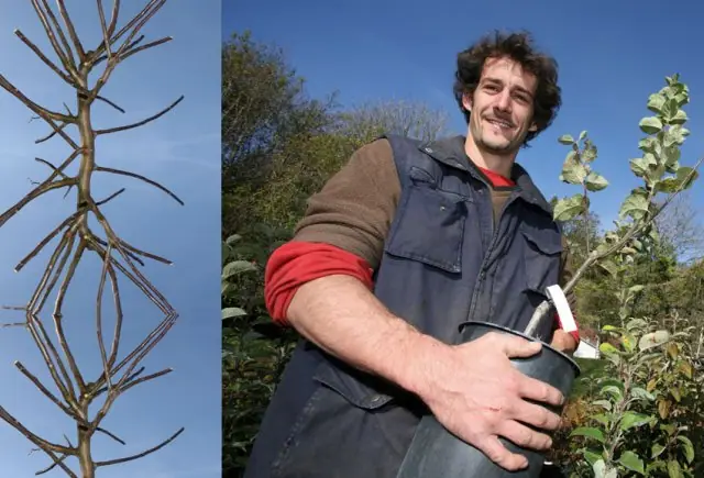 PEPINIERISTE Le pépiniériste produit des végétaux et des arbres fruitiers qui vont être utilisés par des paysagistes ou particuliers lors d'