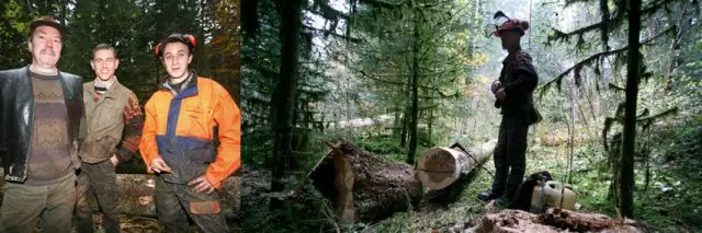 BUCHERONS Abattage de bois qui seront transformés par la suite en bois d'oeuvre ou bois de chauffage.