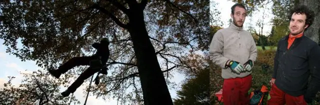 ELAGUEURS GRIMPEURS Spécialiste dans la taille des arbres, qui met en œuvre des techniques de grimper et déplacement sur cordes. « Un métier